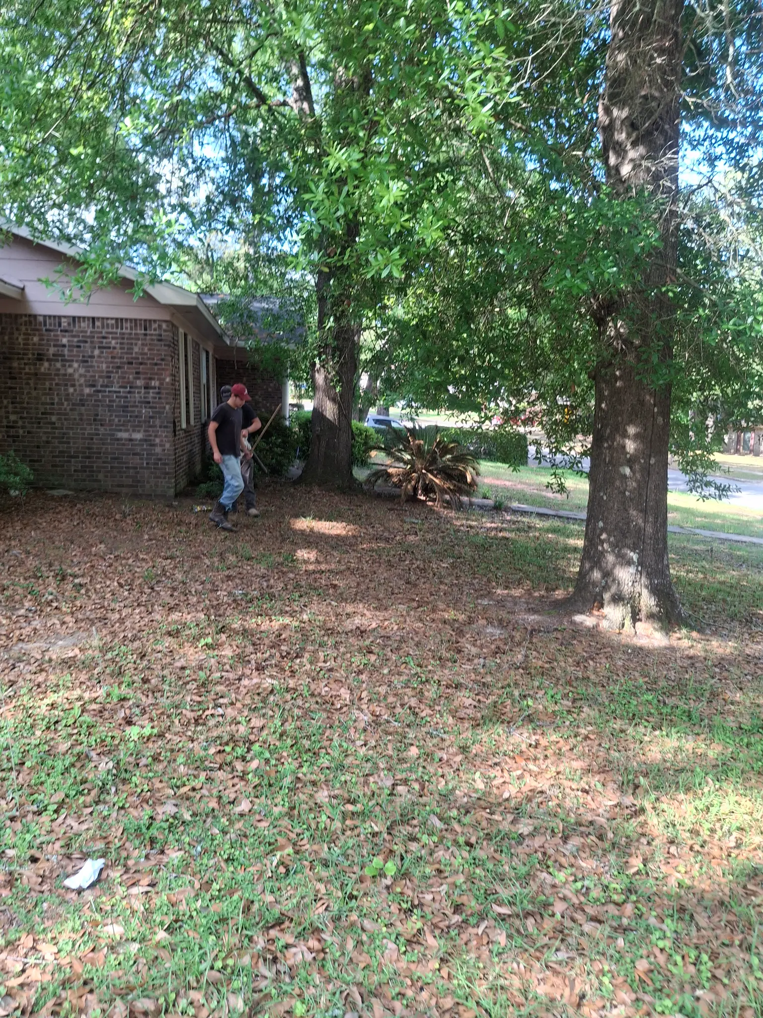 Before landscaping - bare yard with scattered debris