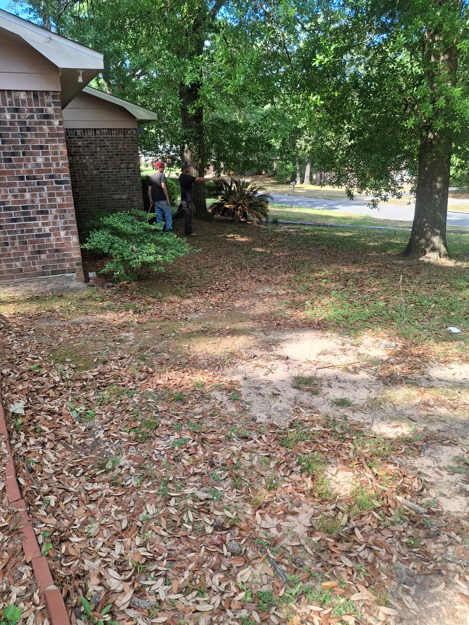 Before landscaping - side yard preparation