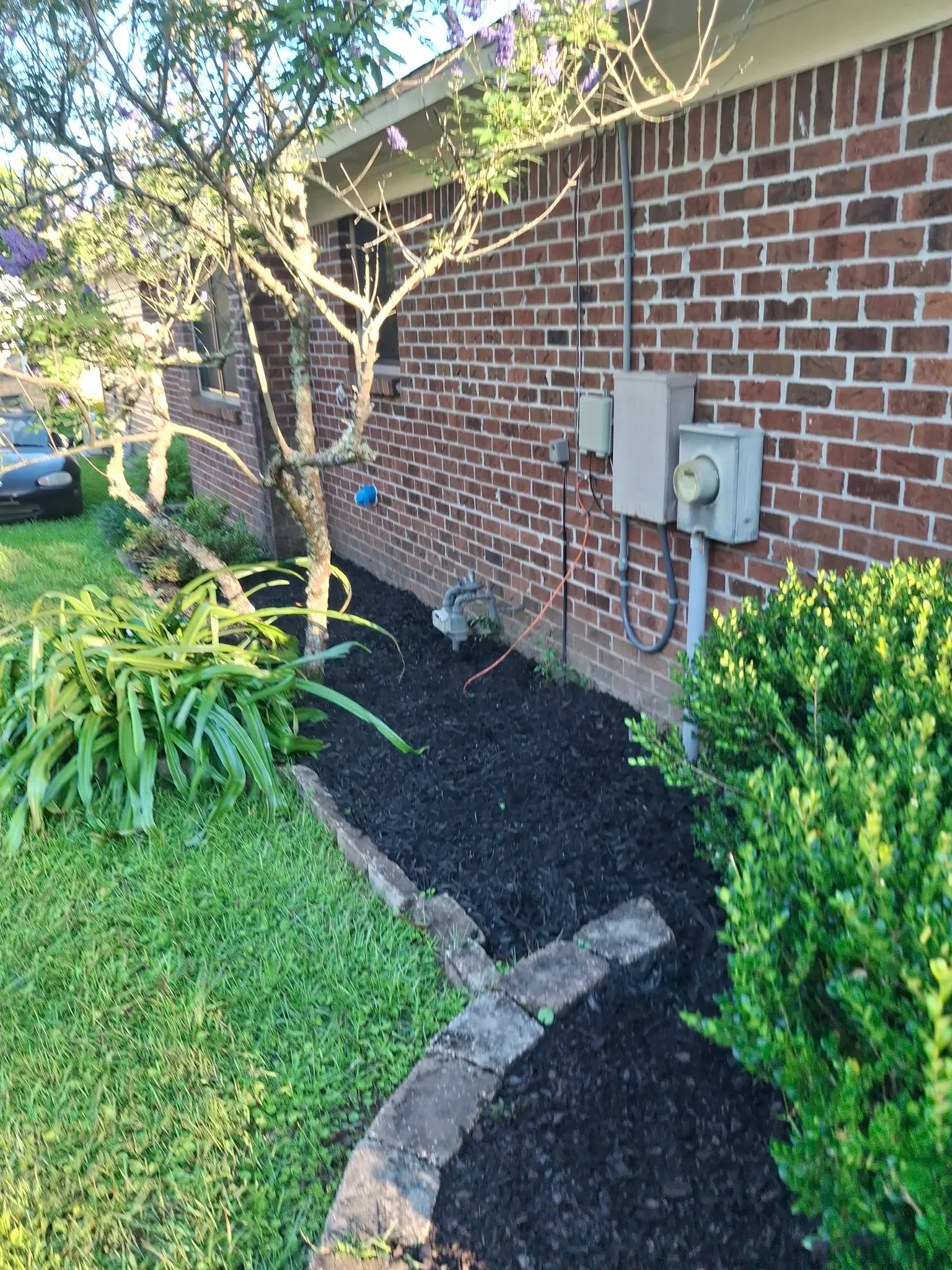 After mulch installation - clean landscaping