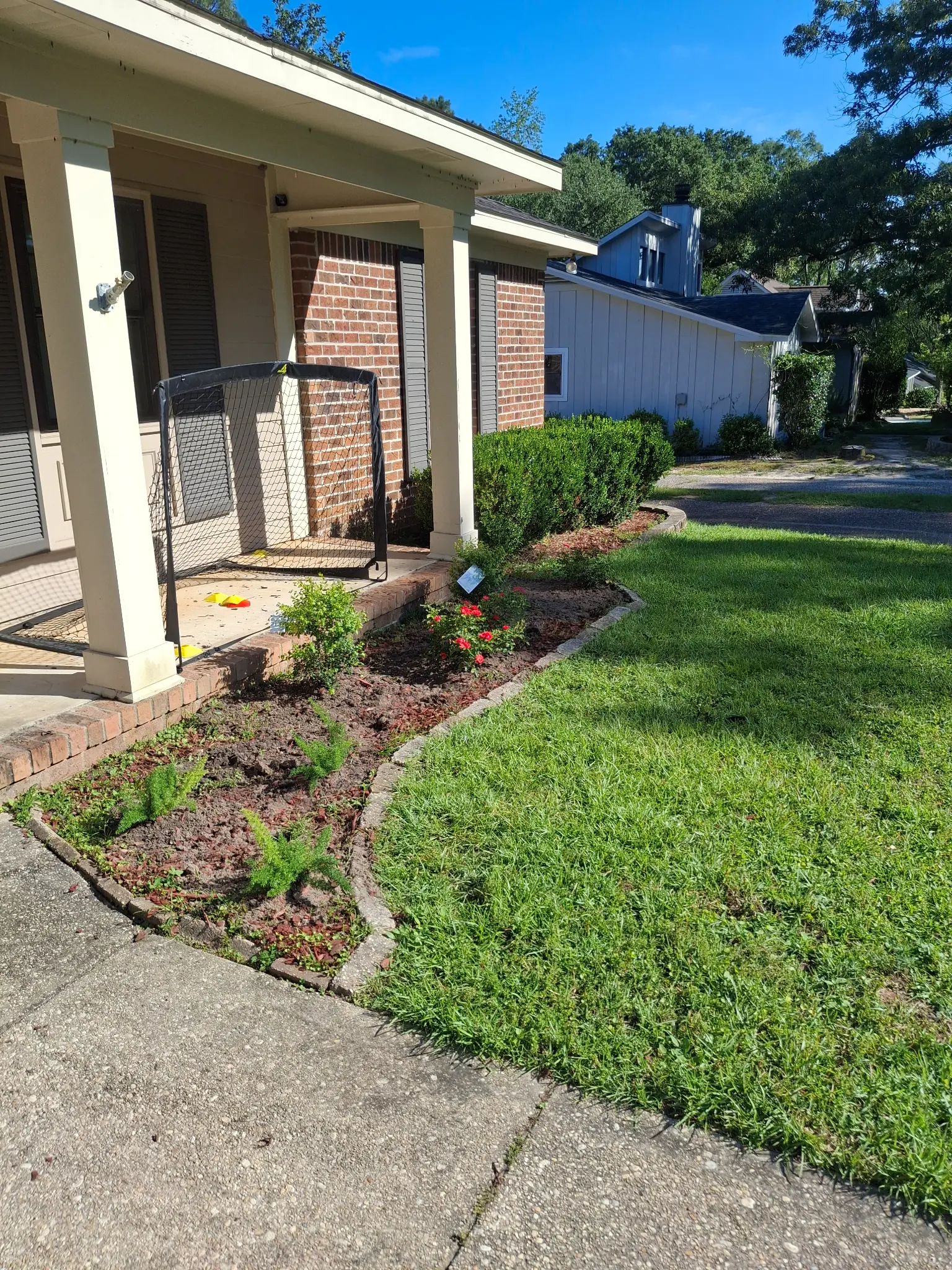 After mulch installation - refreshed front yard