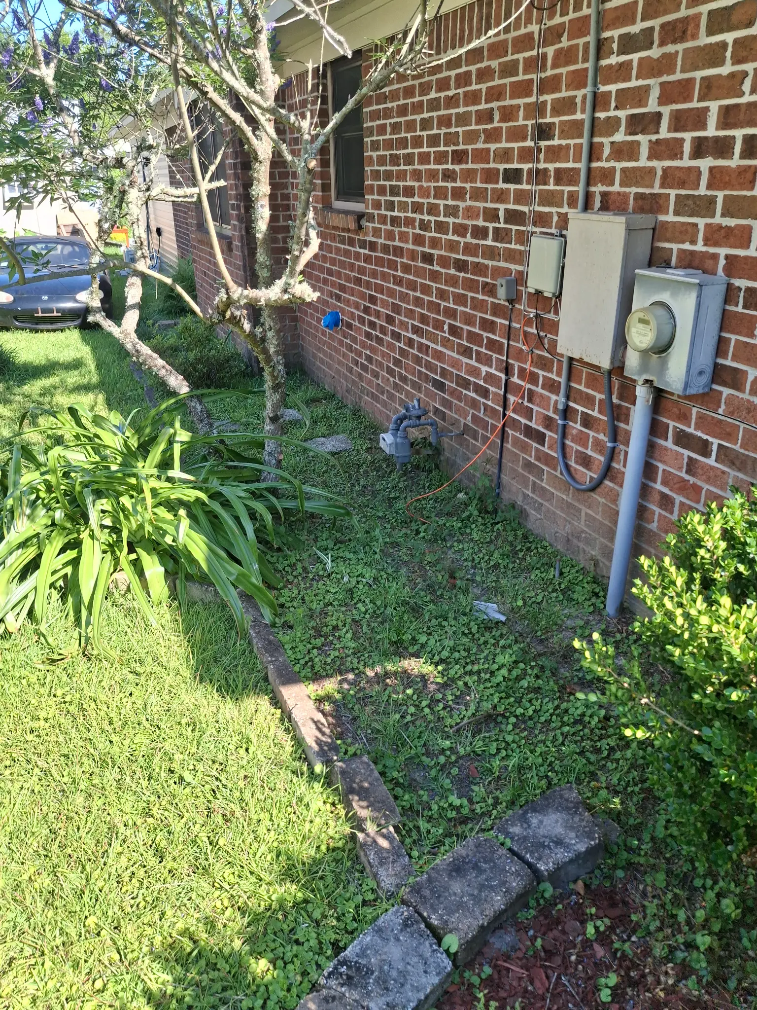 Before mulch installation - overgrown flower bed