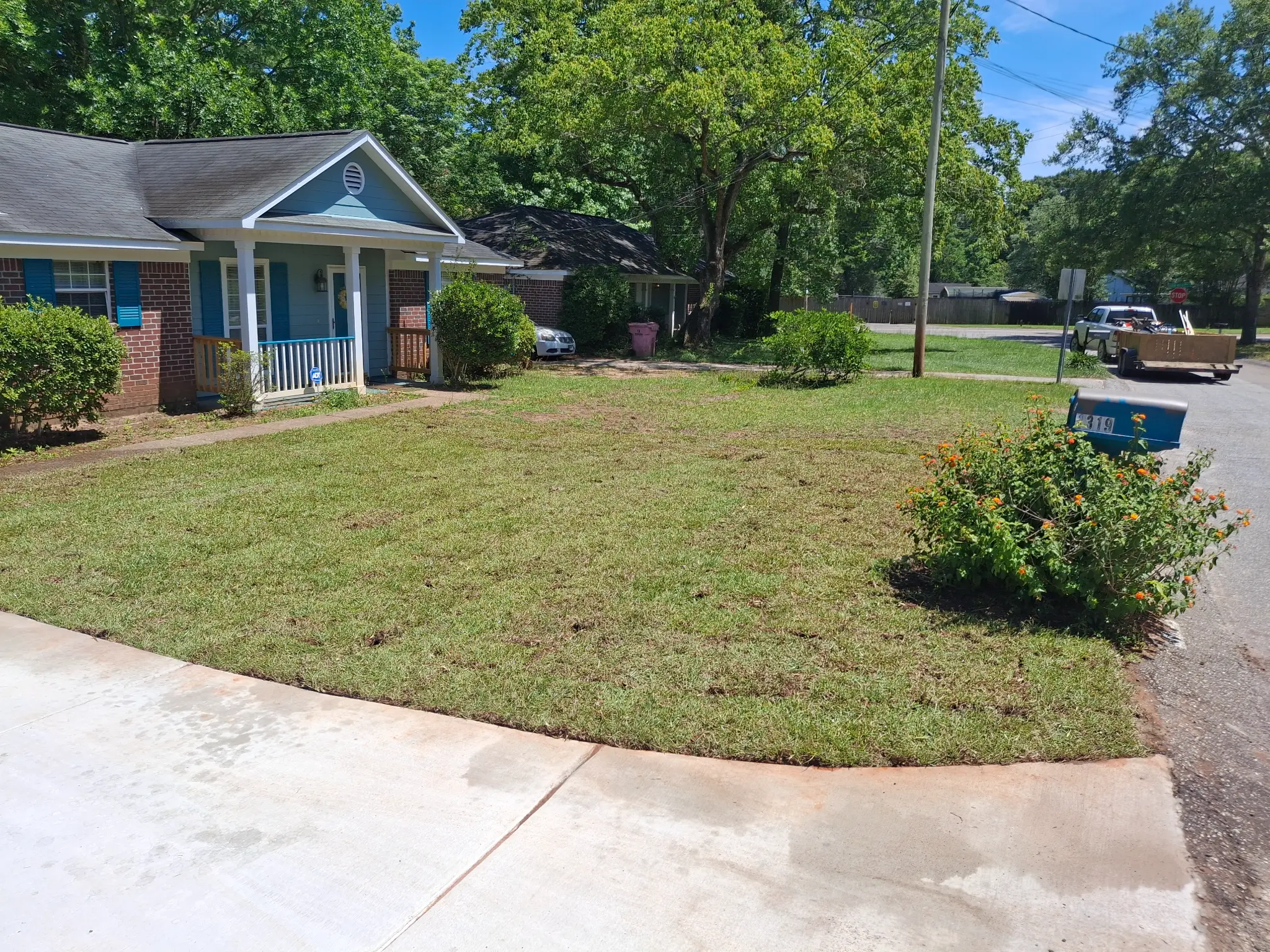 After sod installation - lush green lawn