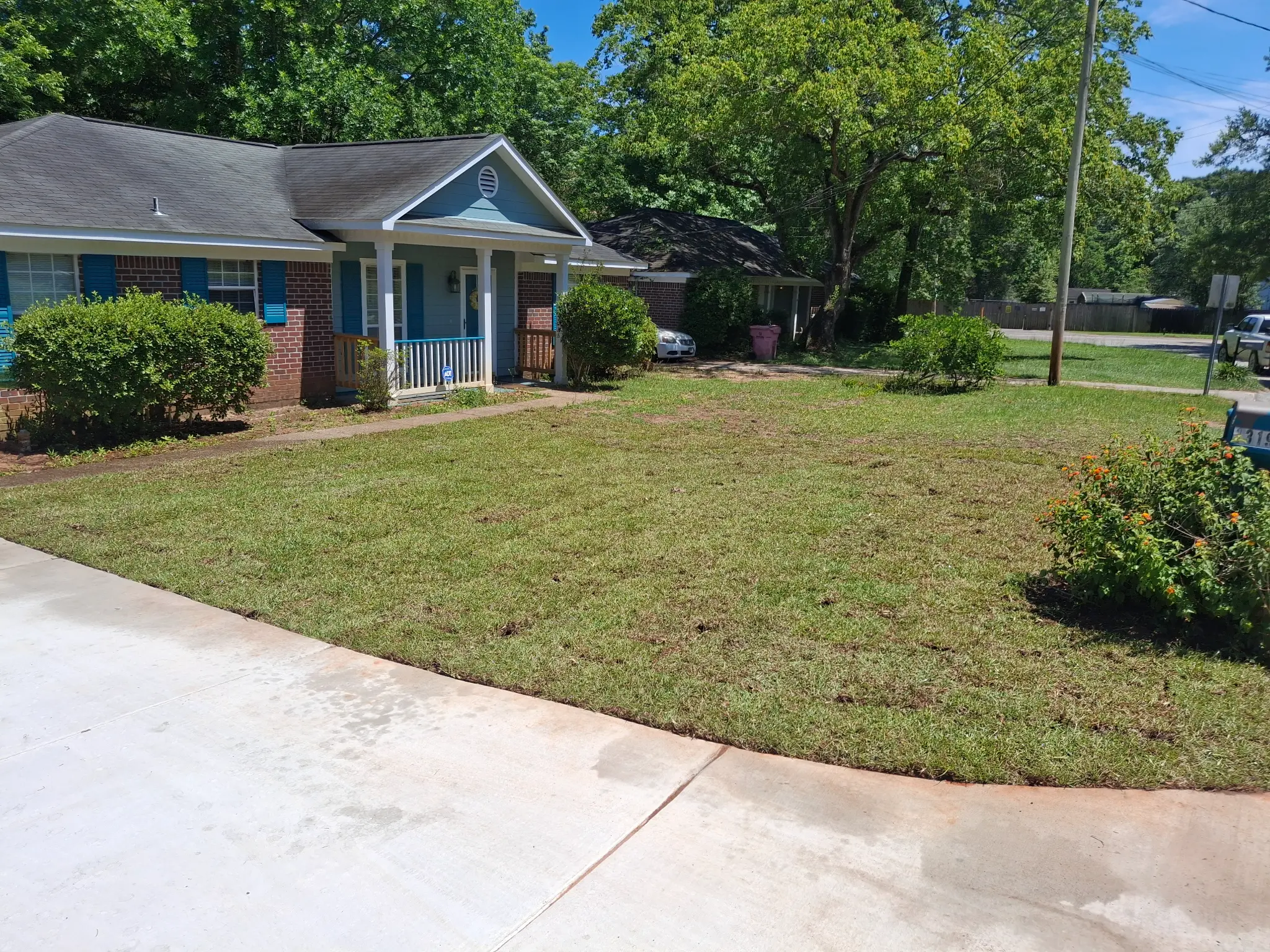 After sod installation - completed transformation